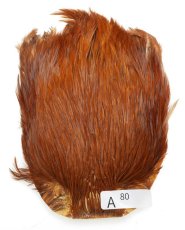 画像30: インドコックケープ India Cock Neck Cape　インディアコックネックケープ　Indian　A51〜A100 (30)