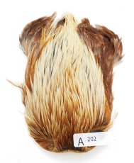 画像1: インドコックケープ India Cock Neck Cape　インディアコックネックケープ　Indian　A201〜A250 (1)