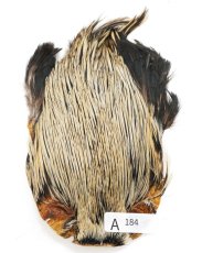 画像30: インドコックケープ India Cock Neck Cape　インディアコックネックケープ　Indian　A151〜A200 (30)