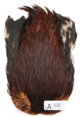 画像22: インドコックケープ India Cock Neck Cape　インディアコックネックケープ　Indian　A101〜A150 (22)