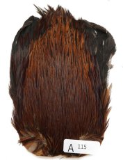 画像13: インドコックケープ India Cock Neck Cape　インディアコックネックケープ　Indian　A101〜A150 (13)