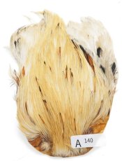 画像35: インドコックケープ India Cock Neck Cape　インディアコックネックケープ　Indian　A101〜A150 (35)