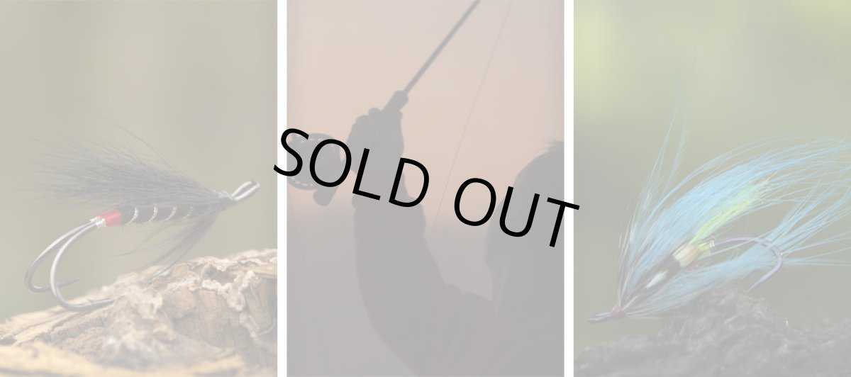 画像4: アレックス HR420 Progressive Double (4)