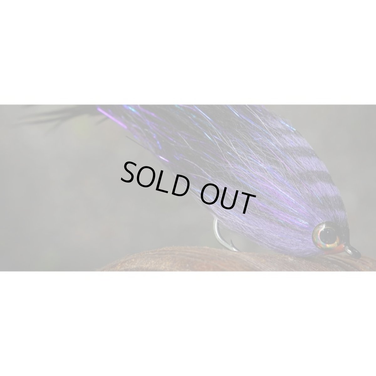 画像5: アレックス SA270 Bluewater (5)