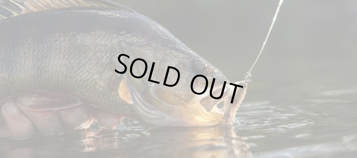 画像3: アレックス Snap (3)