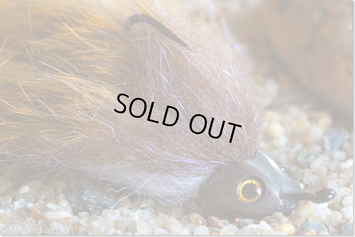 画像2: Fish-Skull - Sculpin Helmet フライメン (2)