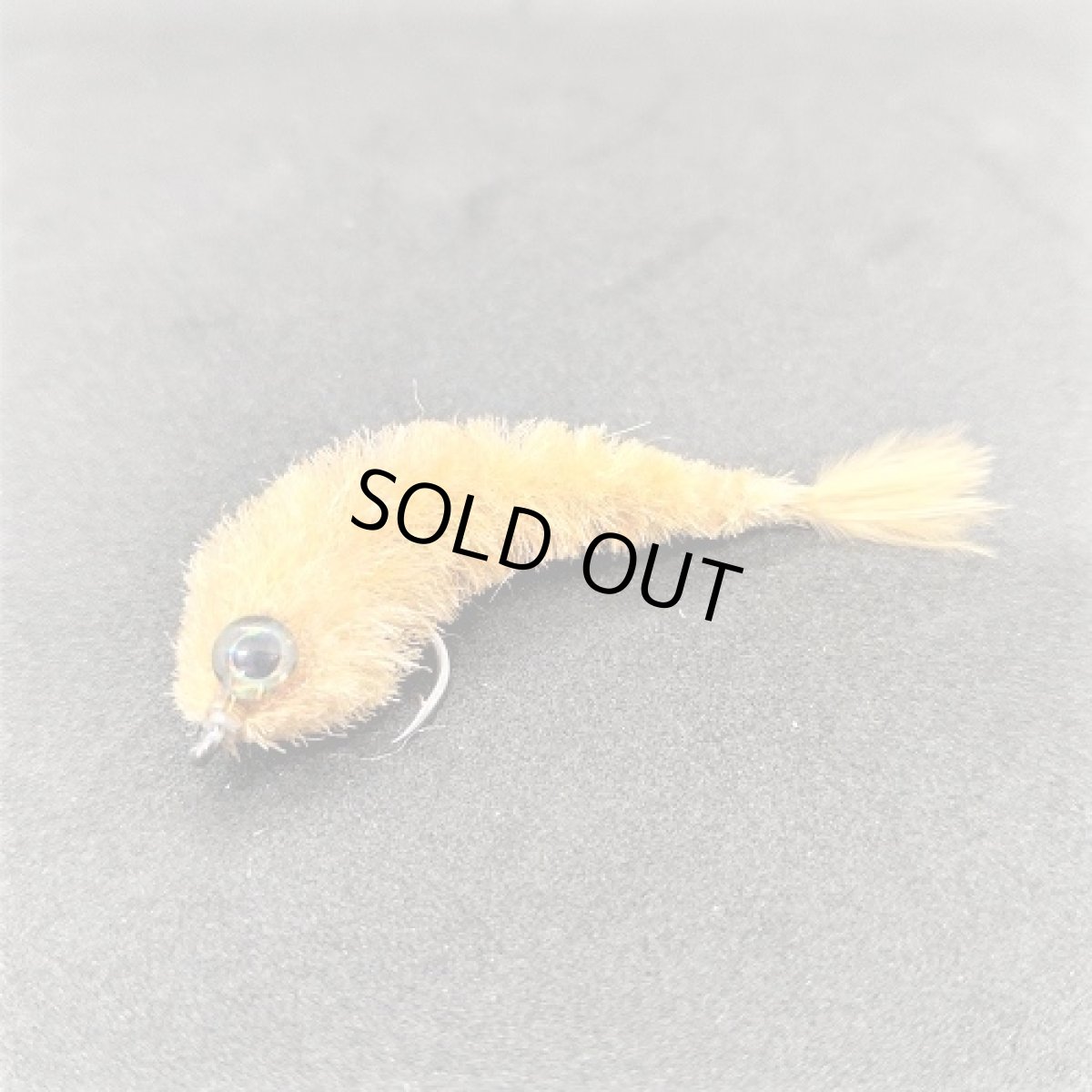 画像4: Micro Changer フライメン (4)