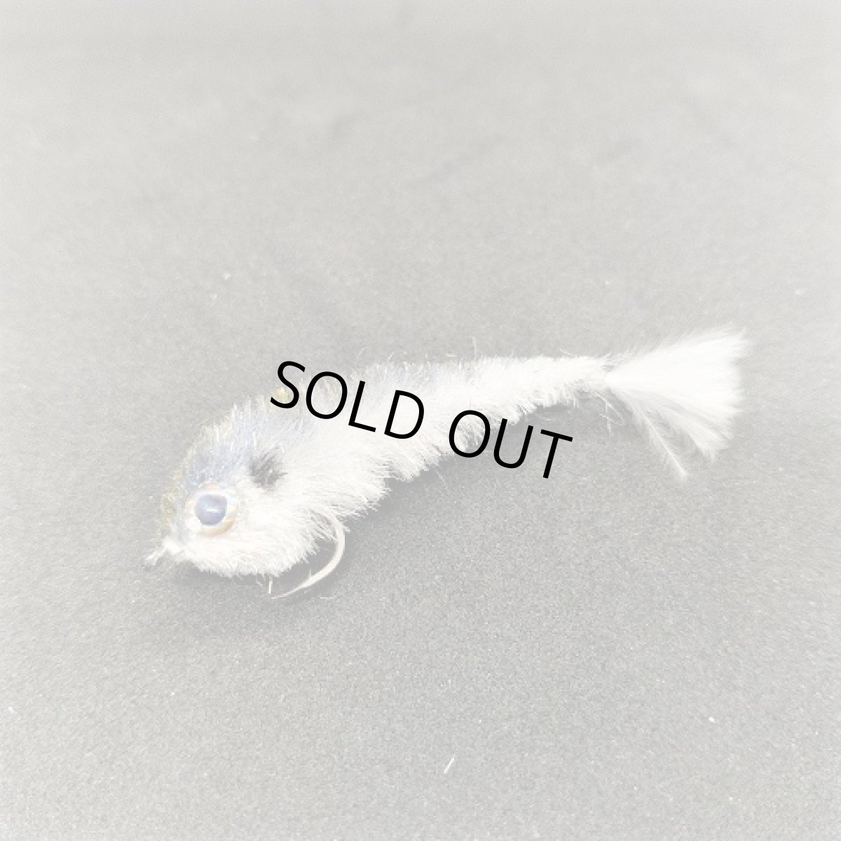 画像6: Micro Changer フライメン (6)