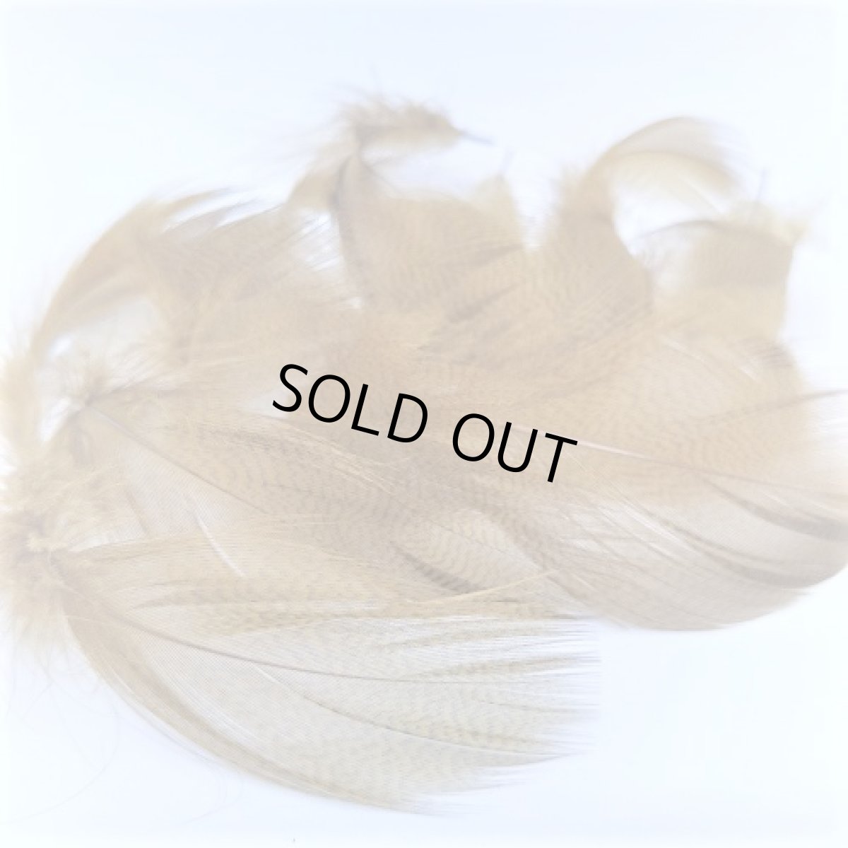 画像2: Gray Mallard Feather バルクパック スイートフィッシュ (2)