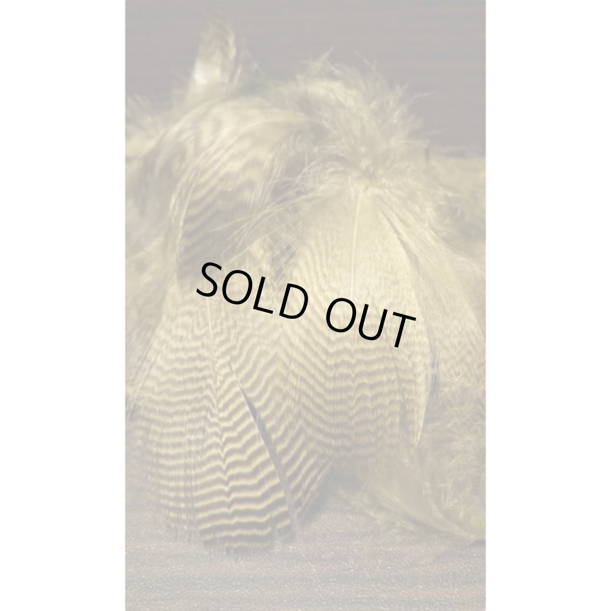 画像3: Teal Flank Feather（バルクパック）　スイートフィッシュ (3)