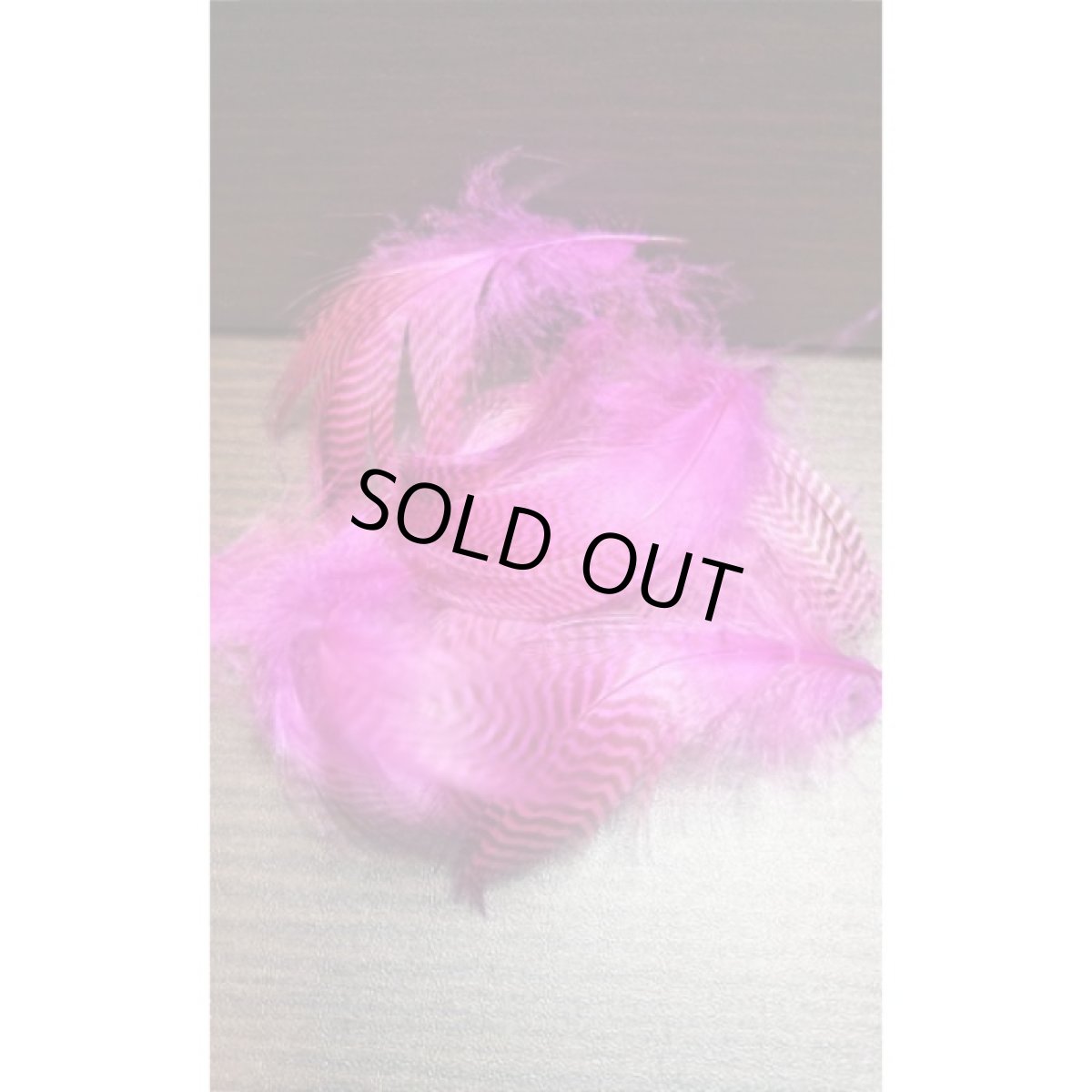 画像5: Teal Flank Feather（バルクパック）　スイートフィッシュ (5)