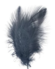 画像3: Golden Eagle Marabou　スイートフィッシュ (3)