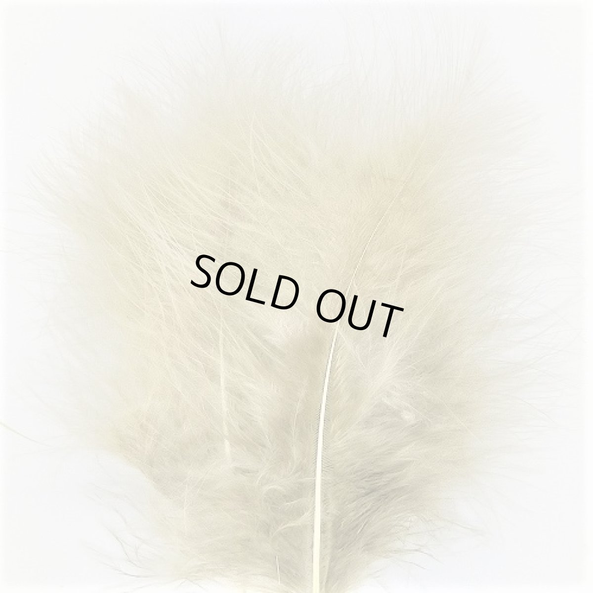 画像7: Marabou スイートフィッシュ (7)