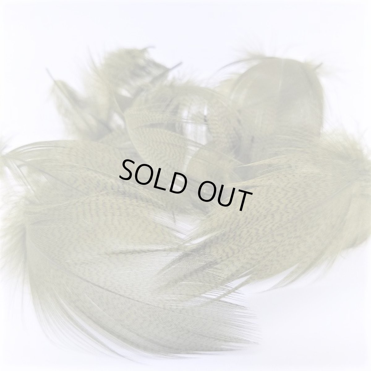 画像6: Gray Mallard Feather バルクパック スイートフィッシュ (6)