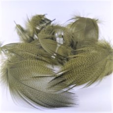 画像6: Gray Mallard Feather バルクパック　スイートフィッシュ (6)