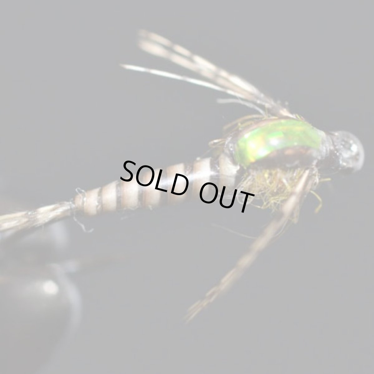 画像4: Ultra Thin Bone Dry Plus ソラレス (4)