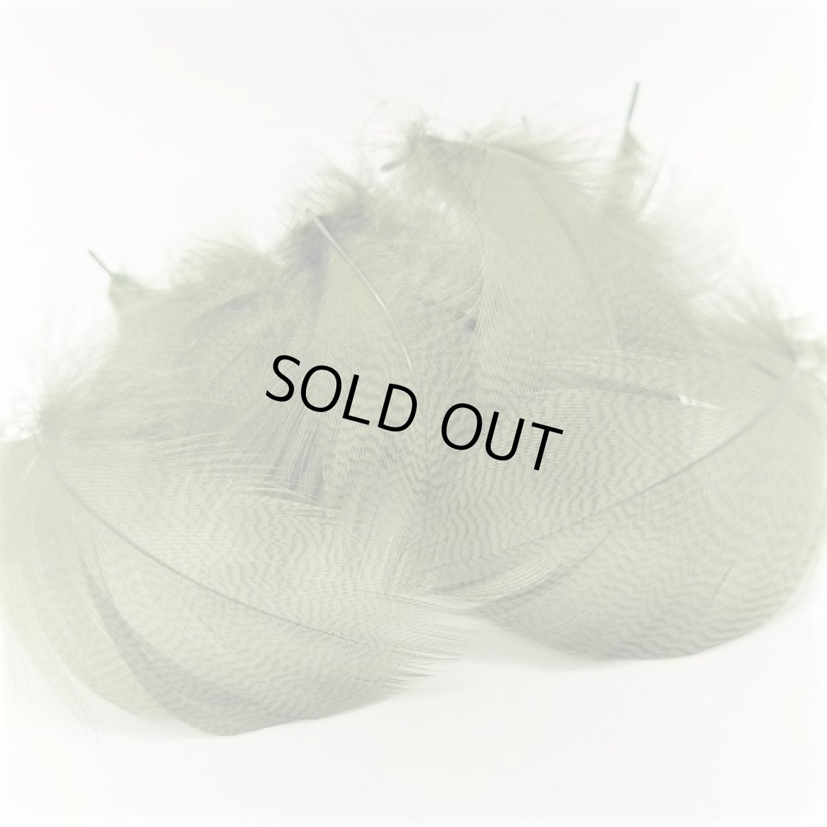 画像10: Gray Mallard Feather バルクパック スイートフィッシュ (10)