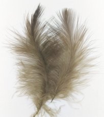 画像6: Golden Eagle Marabou　スイートフィッシュ (6)