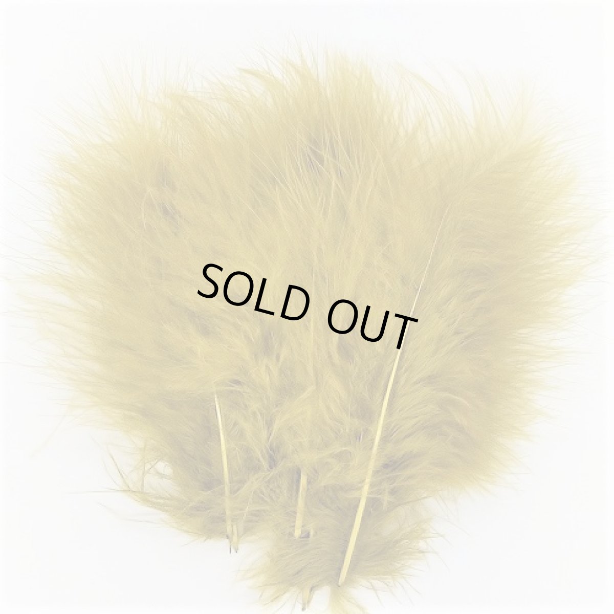 画像11: Marabou スイートフィッシュ (11)