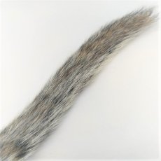 画像10: Grey Squirrel Tail　スイートフィッシュ (10)