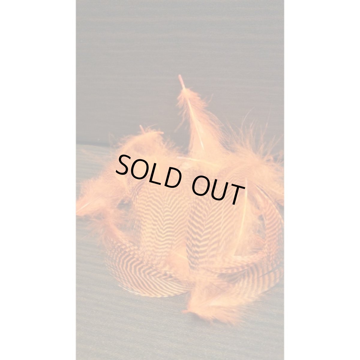 画像7: Teal Flank Feather（バルクパック）　スイートフィッシュ (7)