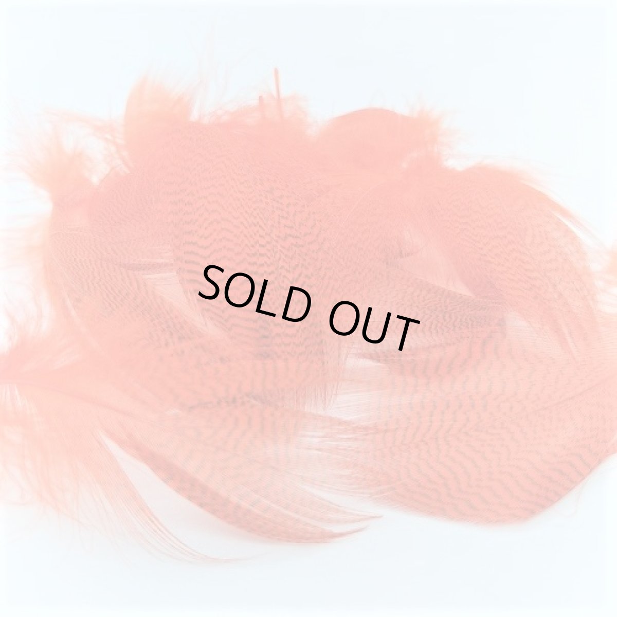 画像7: Gray Mallard Feather バルクパック スイートフィッシュ (7)