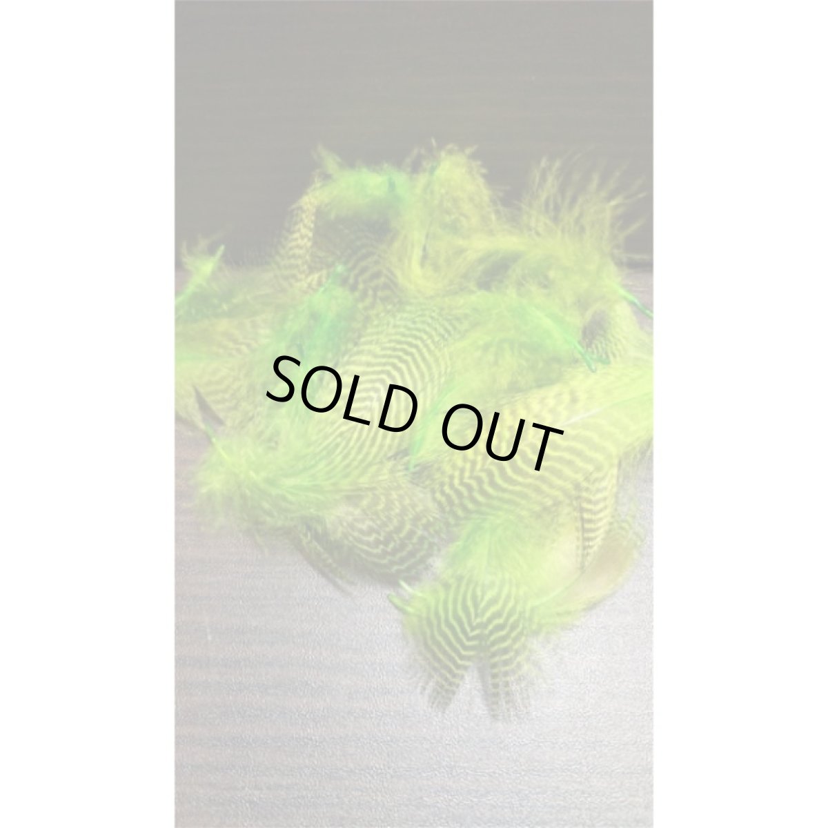 画像6: Teal Flank Feather（バルクパック）　スイートフィッシュ (6)