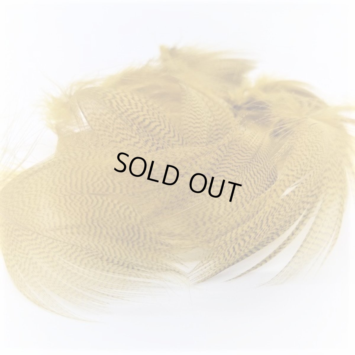 画像4: Gray Mallard Feather バルクパック スイートフィッシュ (4)