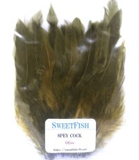 画像2: Spey Cock　スイートフィッシュ (2)