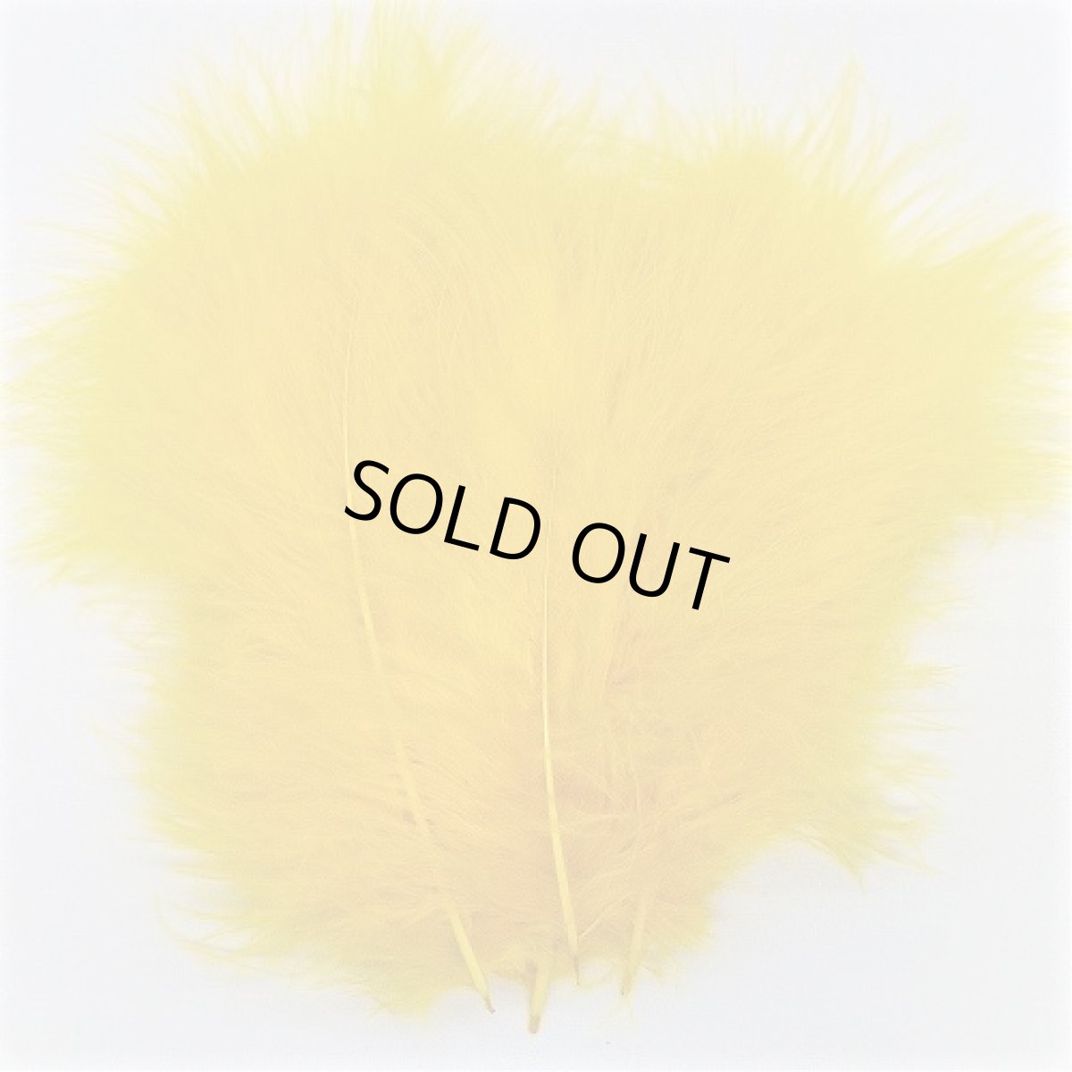 画像10: Marabou スイートフィッシュ (10)