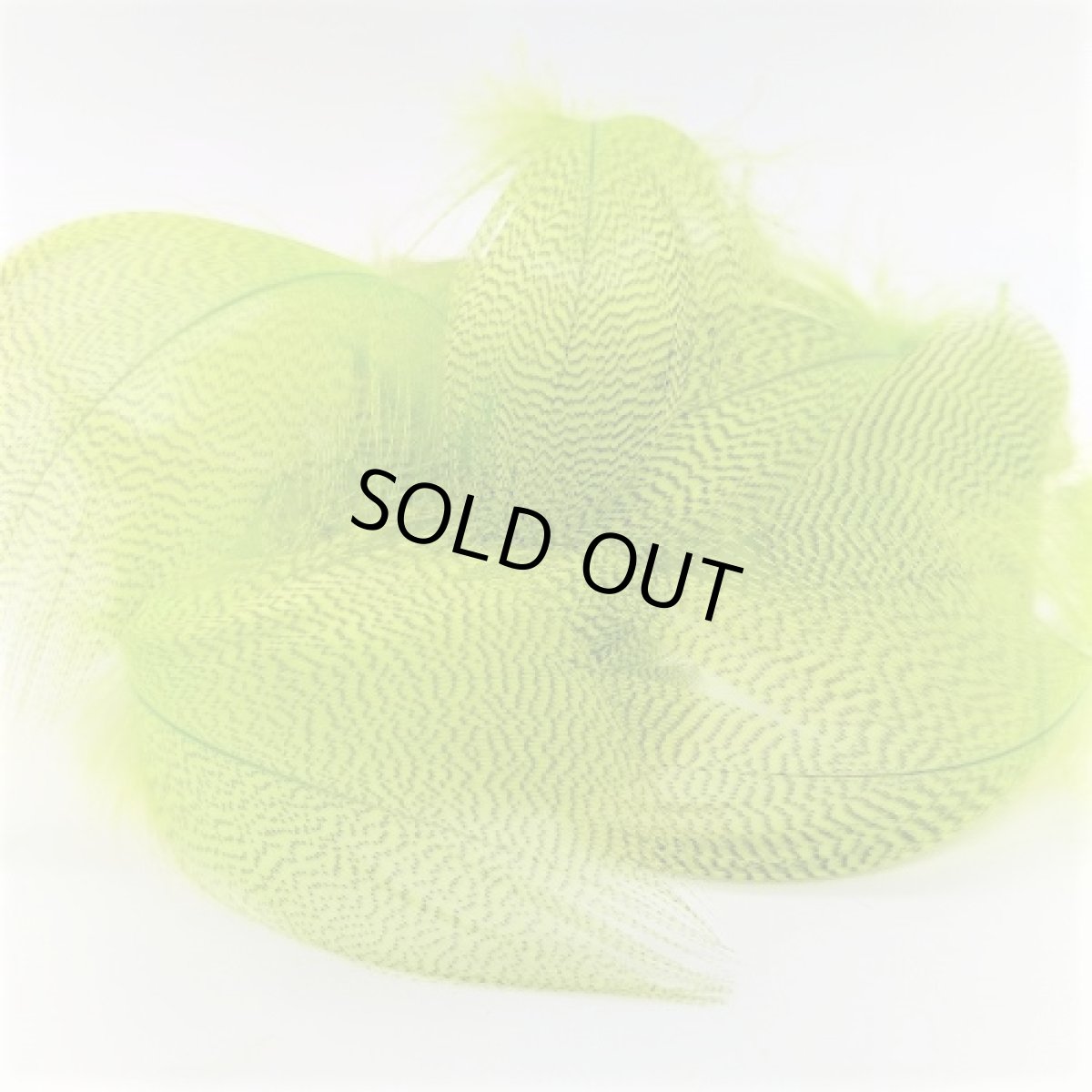 画像3: Gray Mallard Feather バルクパック スイートフィッシュ (3)