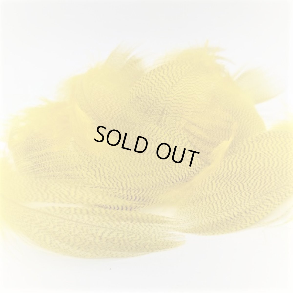 画像9: Gray Mallard Feather バルクパック スイートフィッシュ (9)