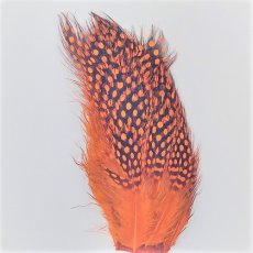 画像7: Guinea Feather　スイートフィッシュ (7)