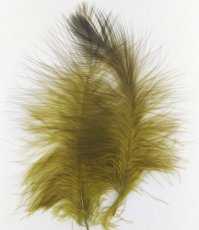 画像4: Golden Eagle Marabou　スイートフィッシュ (4)