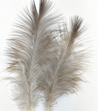 画像2: Golden Eagle Marabou　スイートフィッシュ (2)