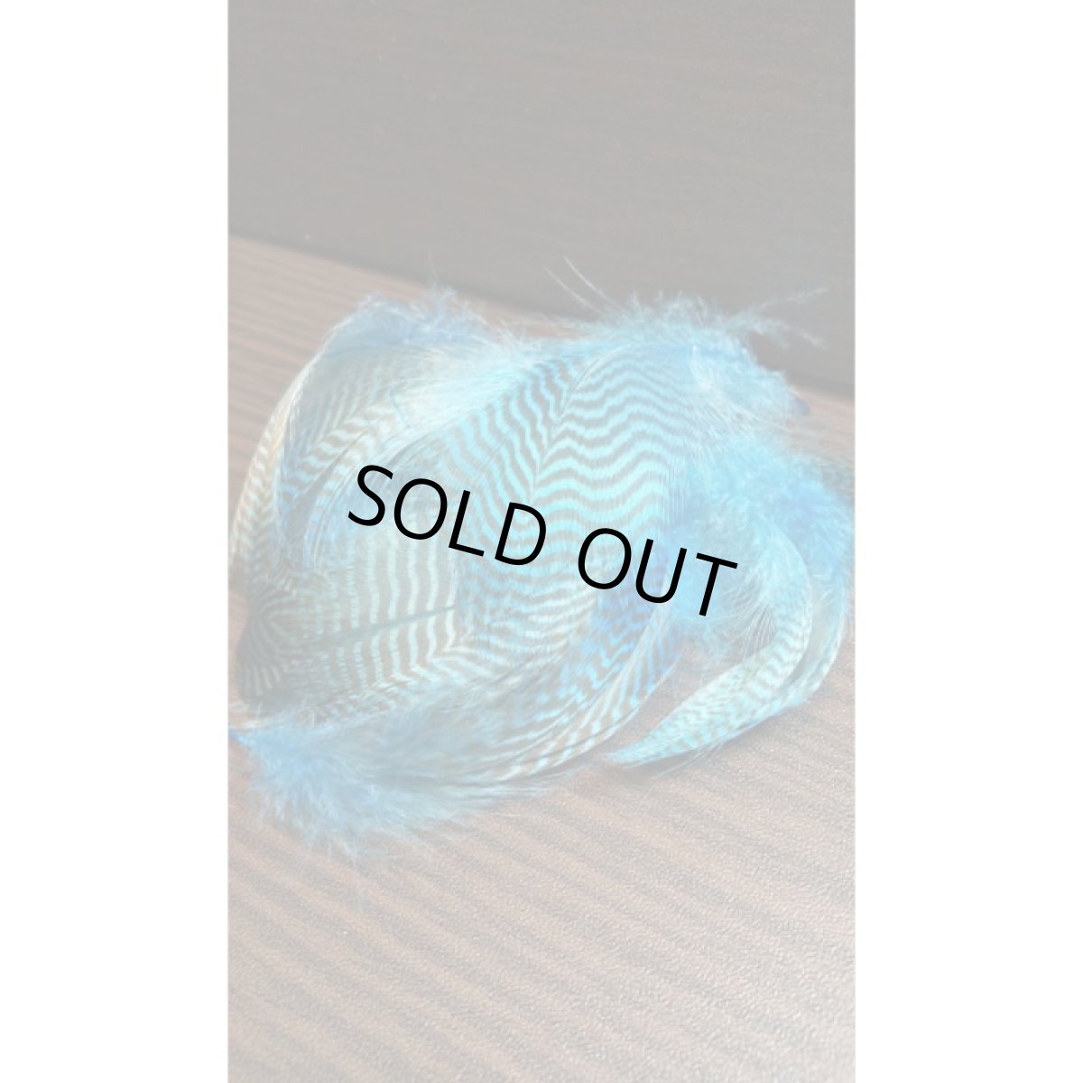 画像8: Teal Flank Feather（バルクパック）　スイートフィッシュ (8)