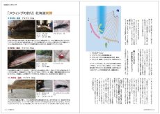 画像4: フライの雑誌 123(2021秋冬号): 特集◉釣れるスウィング送料無料 (4)