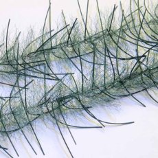 画像12: Lively Legs Crustacean Brush 0.5"　JUST ADD H2O (12)
