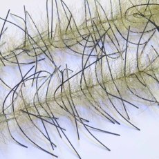 画像9: Lively Legs Crustacean Brush 0.5"　JUST ADD H2O (9)