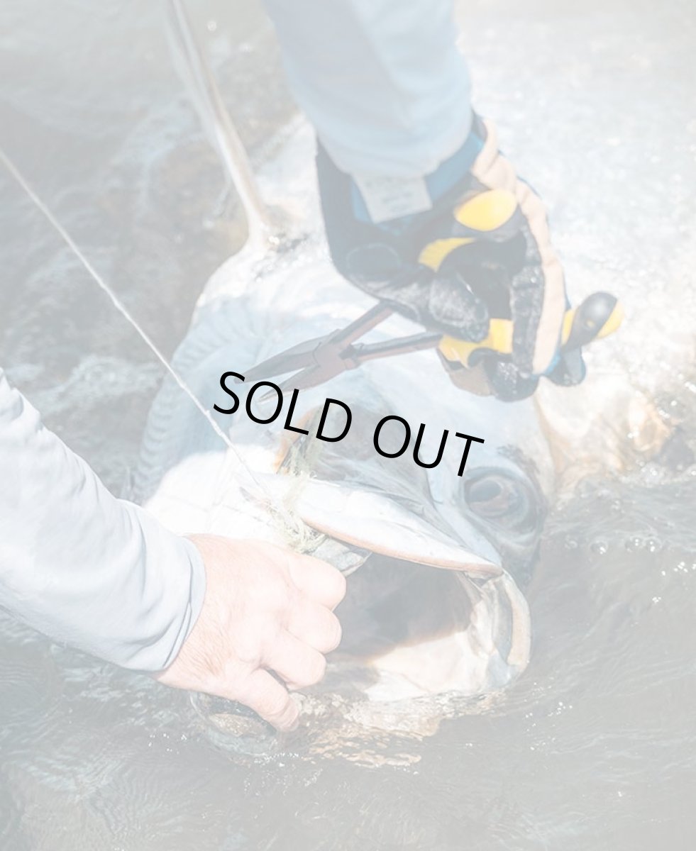 画像5: APEX NEEDLE NOSE PLIER　ルーン (5)