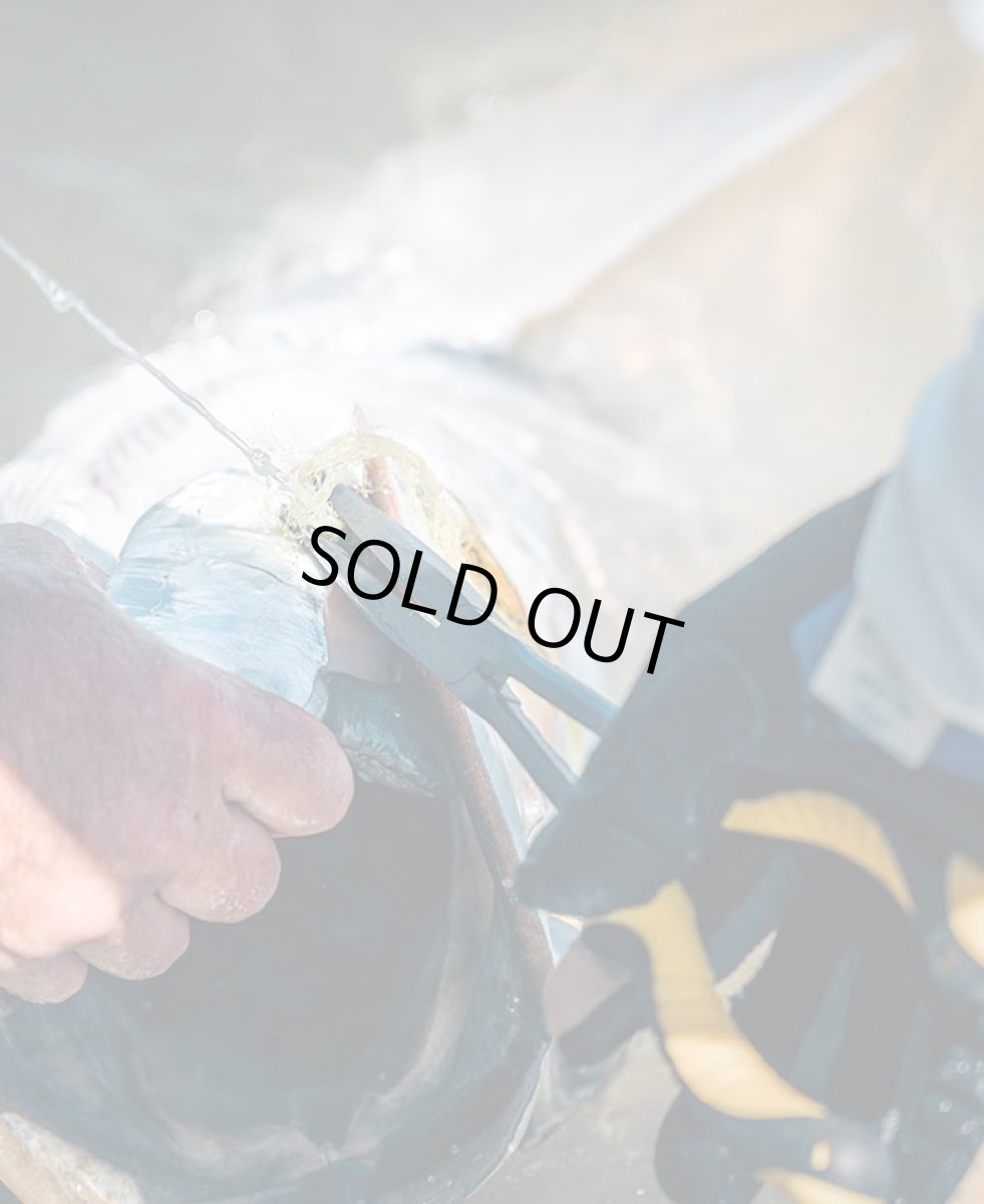 画像2: APEX NEEDLE NOSE PLIER　ルーン (2)