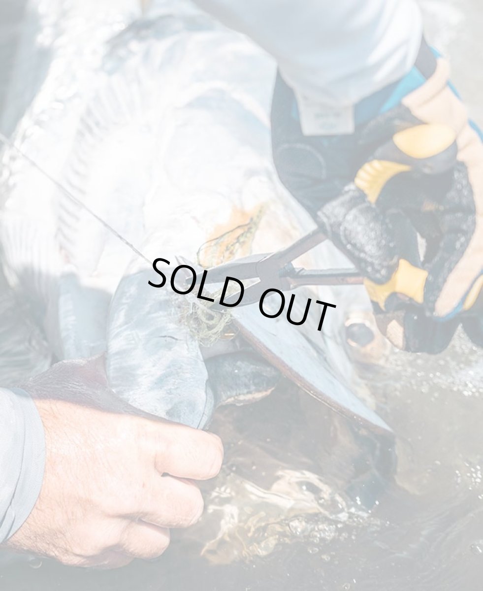 画像4: APEX NEEDLE NOSE PLIER　ルーン (4)