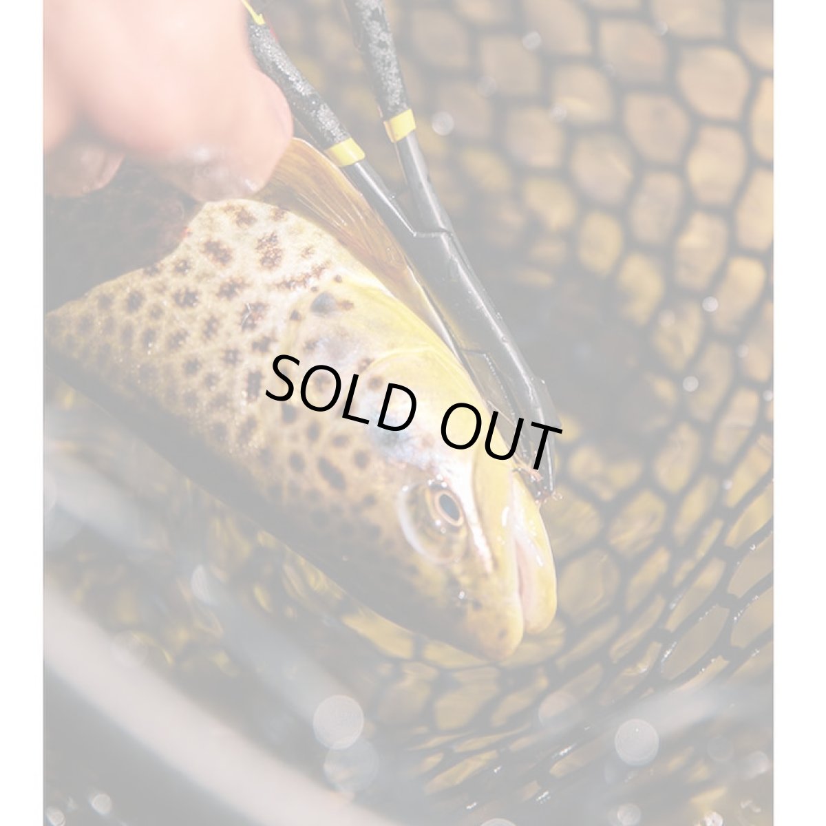 画像2: ROGUE HOOK REMOVAL FORCEPS　ルーン (2)