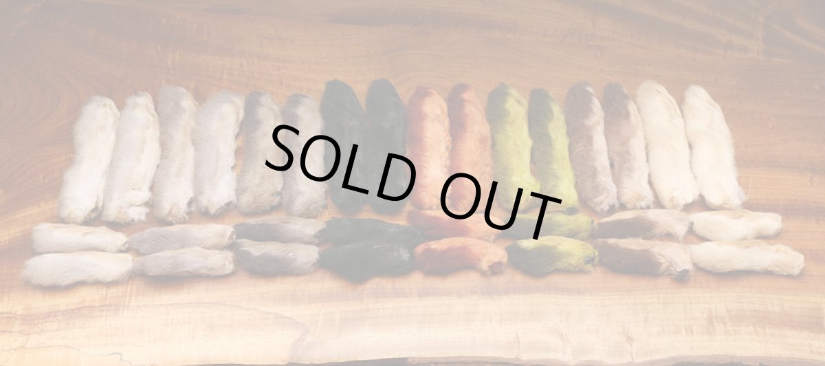 画像1: HARELINE Snowshoe Rabbit Feet  ヘアライン スノーシューラビット　2本入り (1)