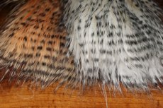 画像1: HARELINE  Barred Pseudo Hair　ヘアライン　バードスードヘア (1)