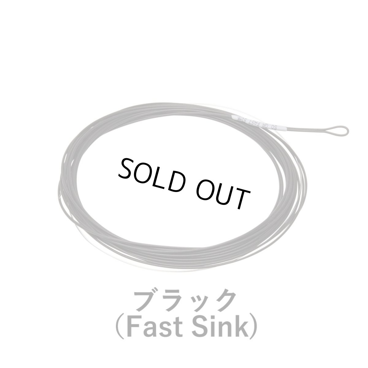 画像5: RIO リオ　TroutVersiLeader (5)