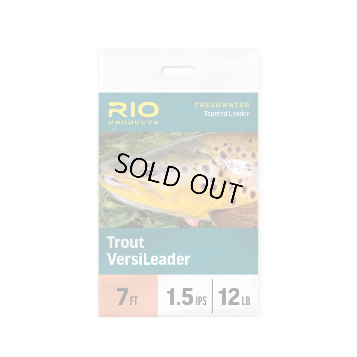 画像1: RIO リオ　TroutVersiLeader (1)