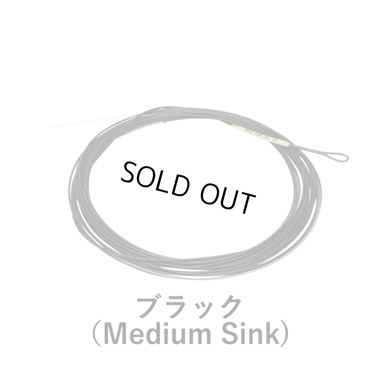 画像4: RIO リオ　TroutVersiLeader (4)