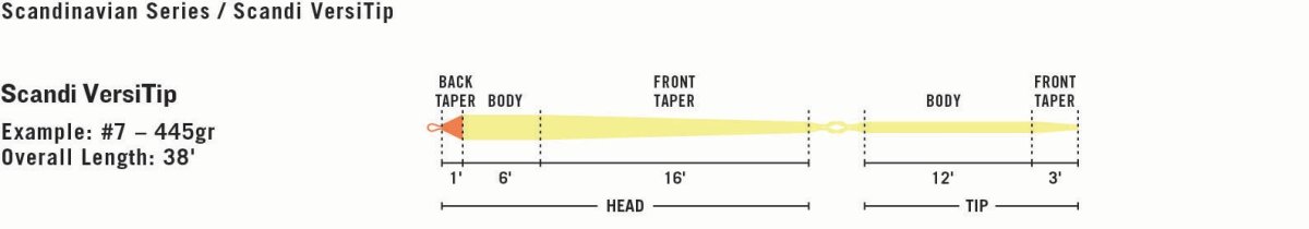 画像4: RIO リオ Scandi VersiTip/Scandi Short VersiTip (4)