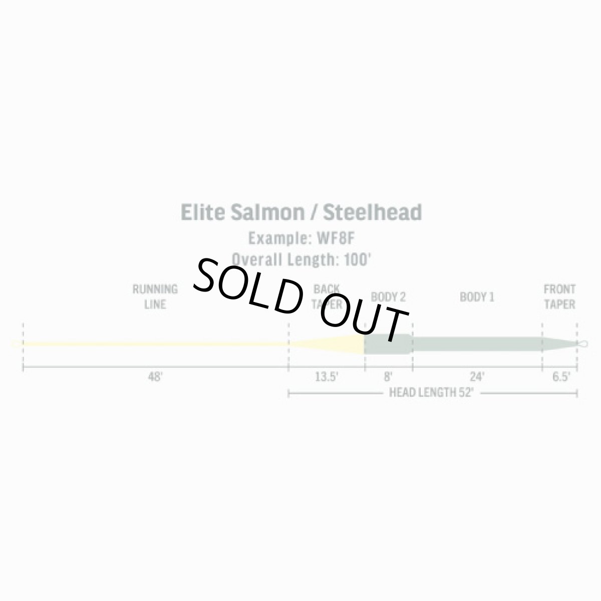 画像4: RIO リオ  Elite Salmon/Steelhead (4)